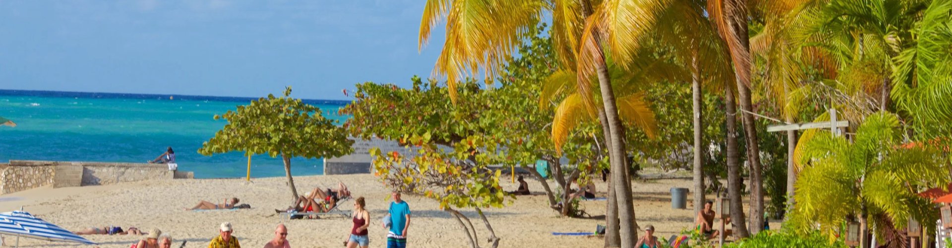 Montego Bay night skyline with parked cars