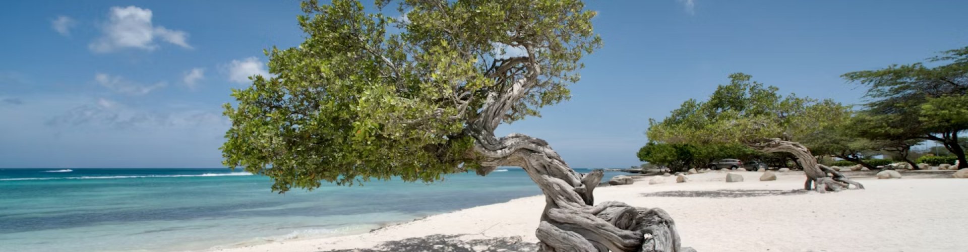 Aruba night skyline with parked cars