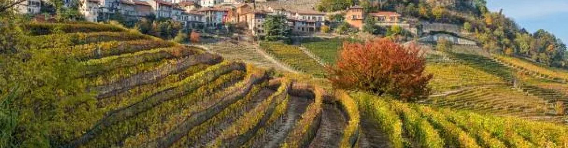 Bernezzo night skyline with parked cars