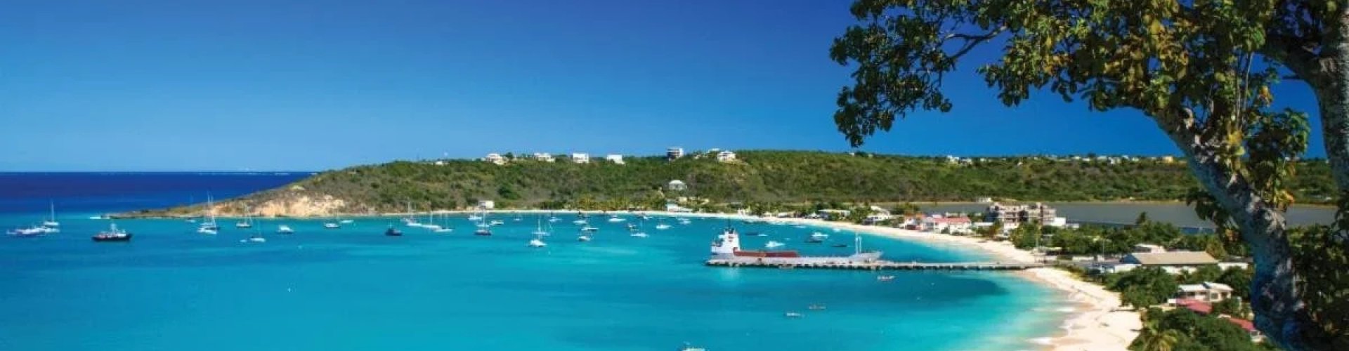Anguilla, AI
