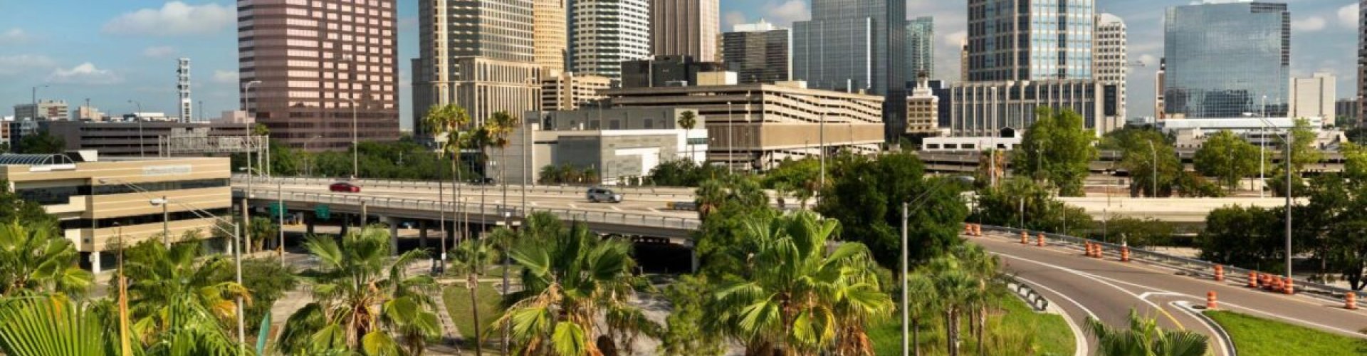 Tampa night skyline with parked cars