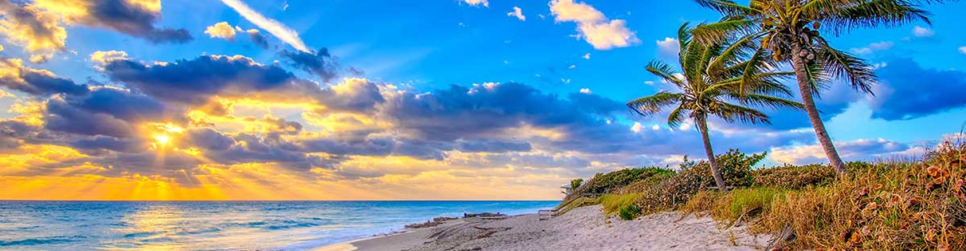 Coral Springs night skyline with parked cars