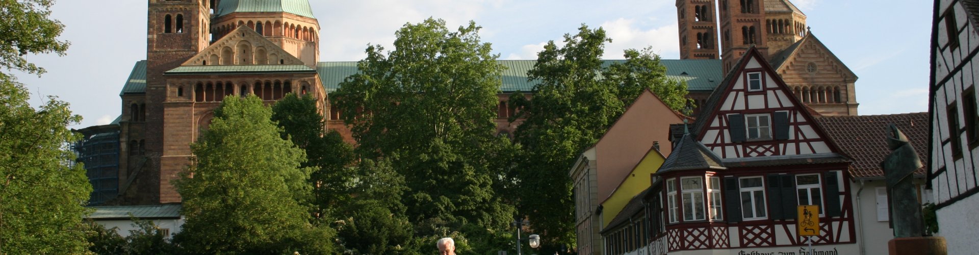 Speyer night skyline with parked cars