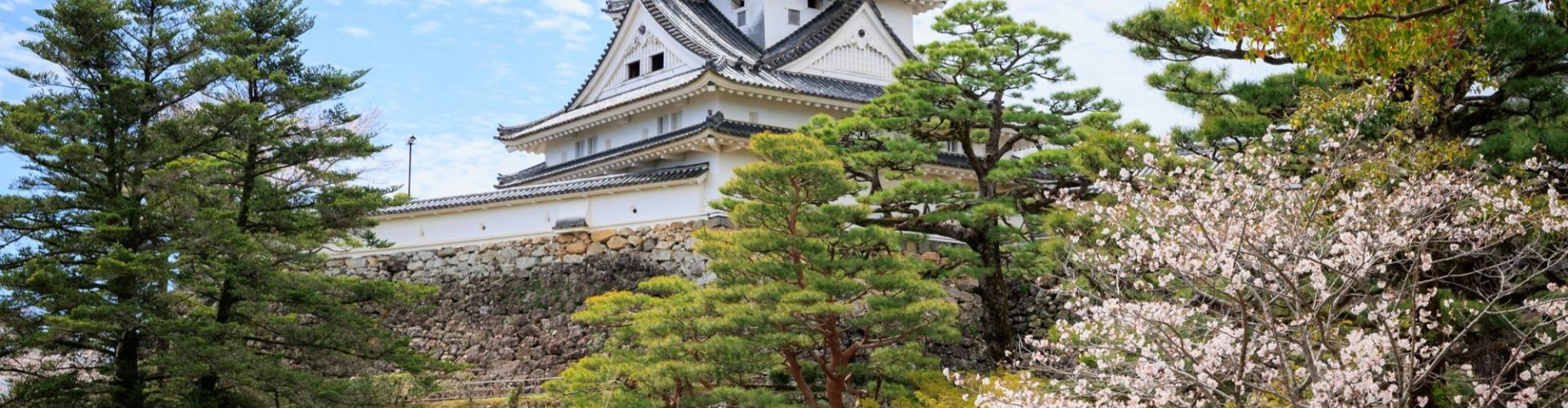 Kochi night skyline with parked cars