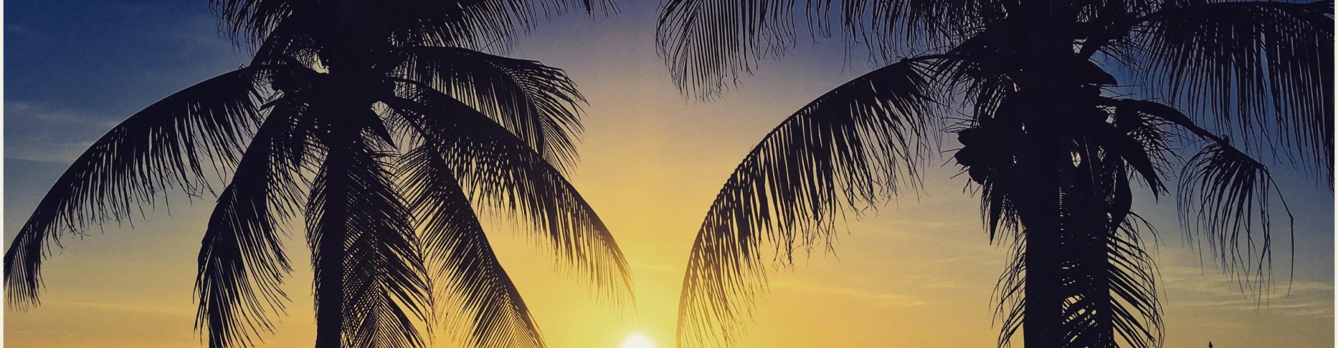 Rio Vermelho night skyline with parked cars